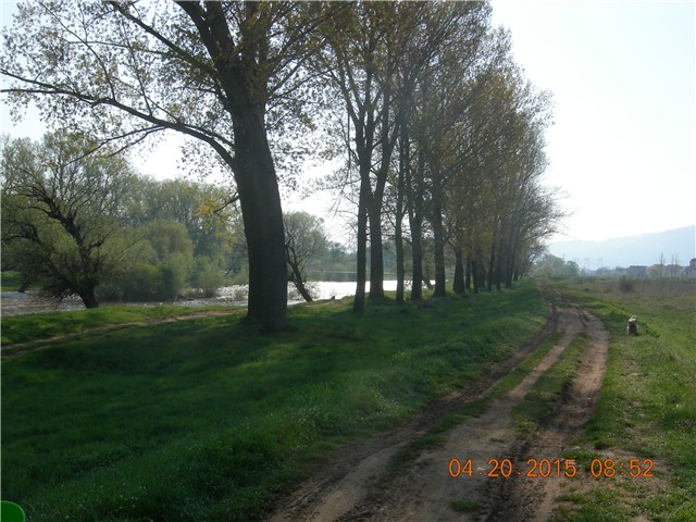 arčilend
